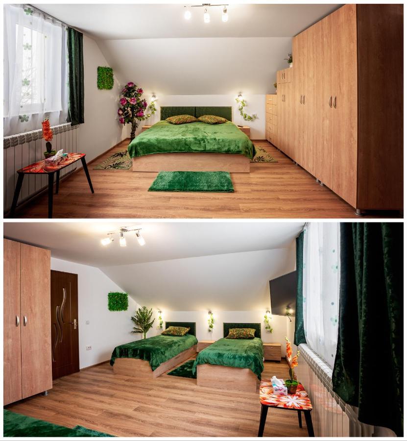 Casuta Cu Flori Hotel Vilcele  Luaran gambar