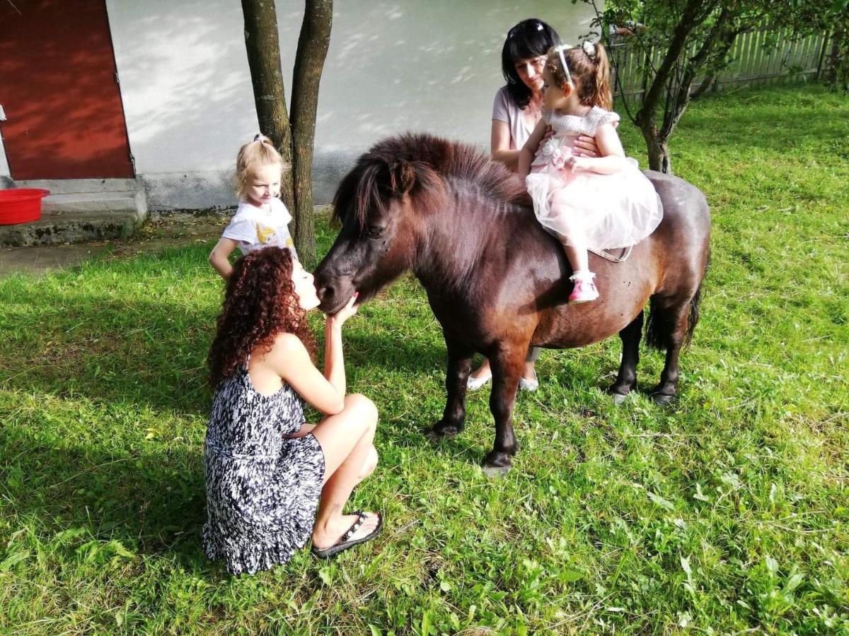 Casuta Cu Flori Hotel Vilcele  Luaran gambar
