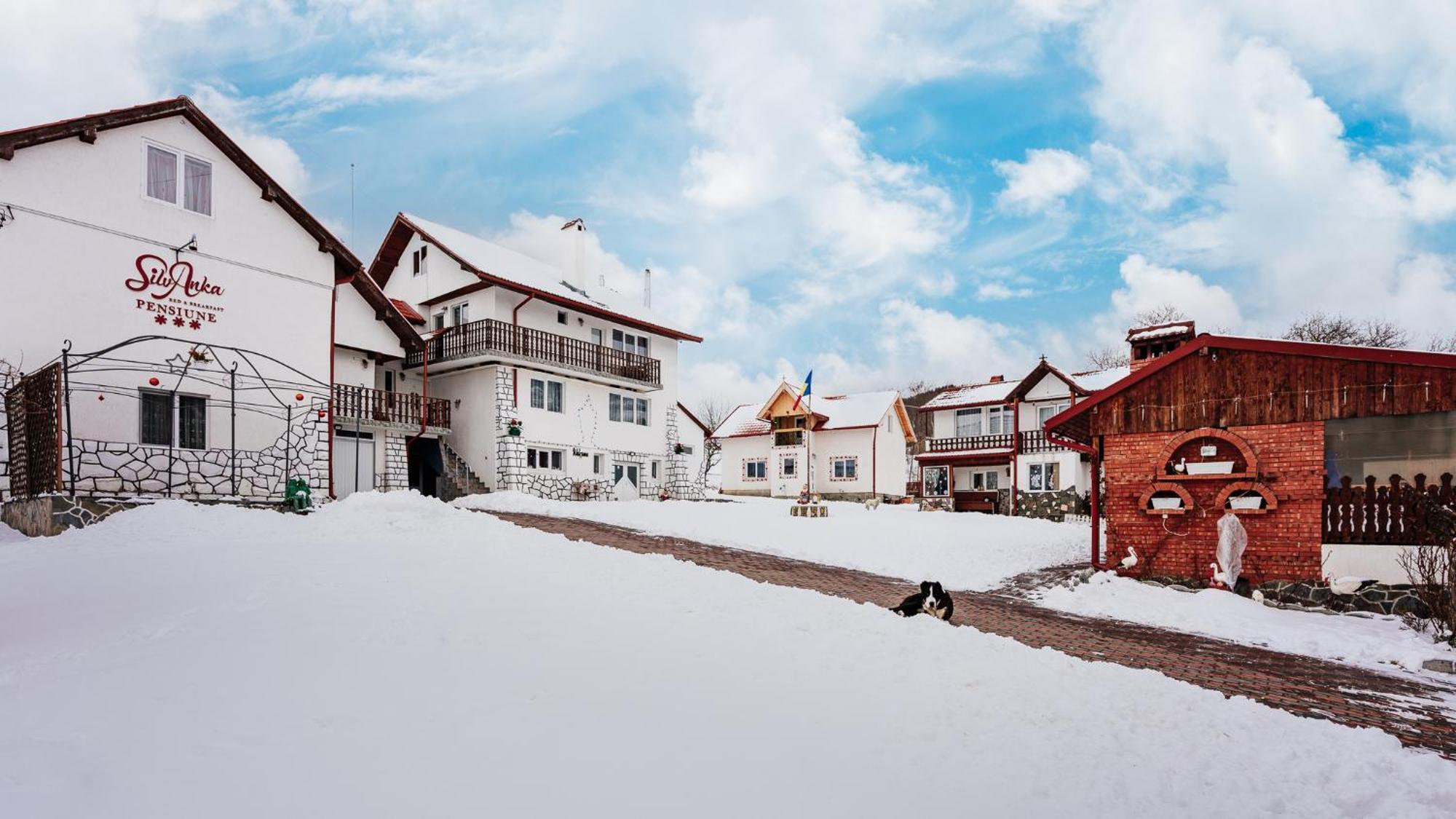 Casuta Cu Flori Hotel Vilcele  Luaran gambar